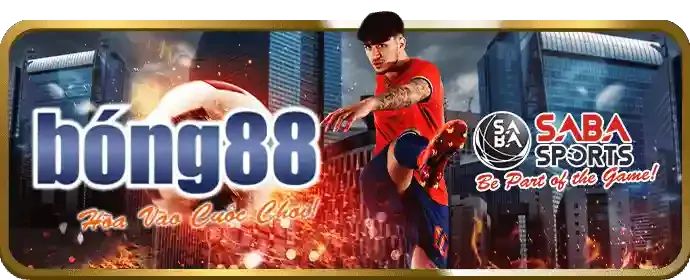 Cá cược đá gà W88you